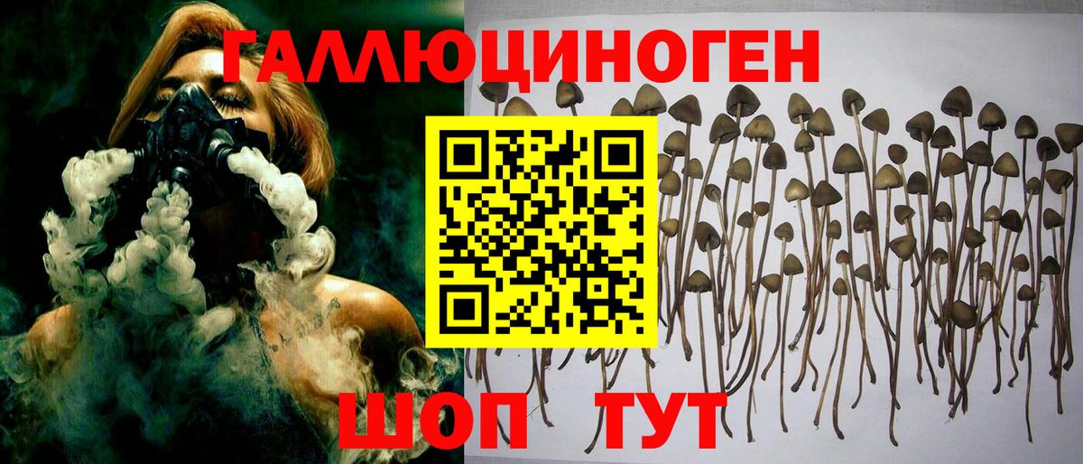 Псилоцибиновые грибы Magic Shrooms  Вход с VPN  Коммунар 